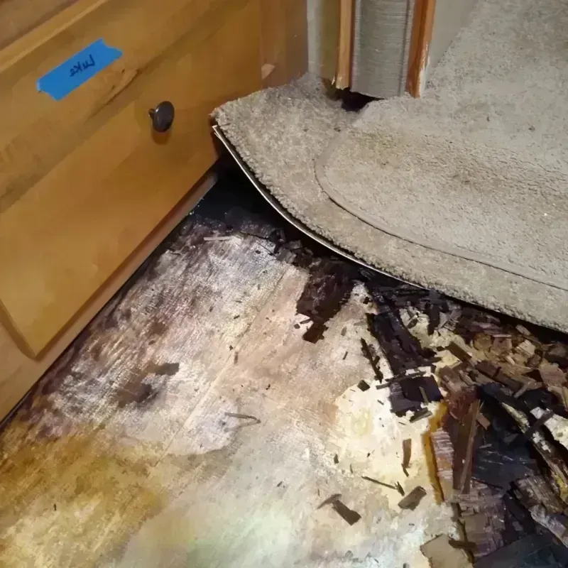 Best Wood Floor Water Damage Service in Redwood, TX